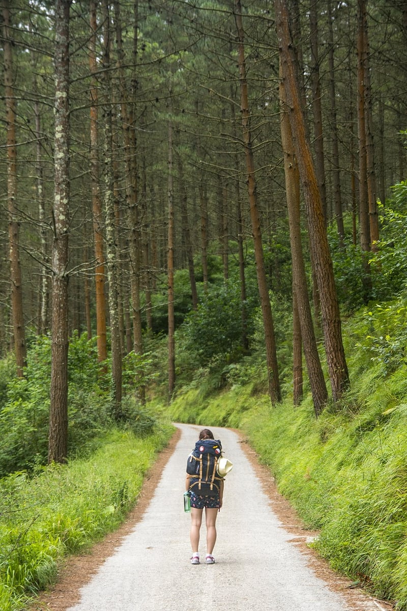 Walking Meditation in the Forest
