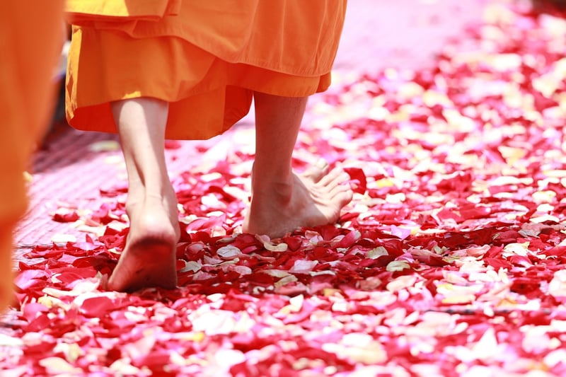 Walking Meditation in Nature